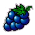 Symbol winogron